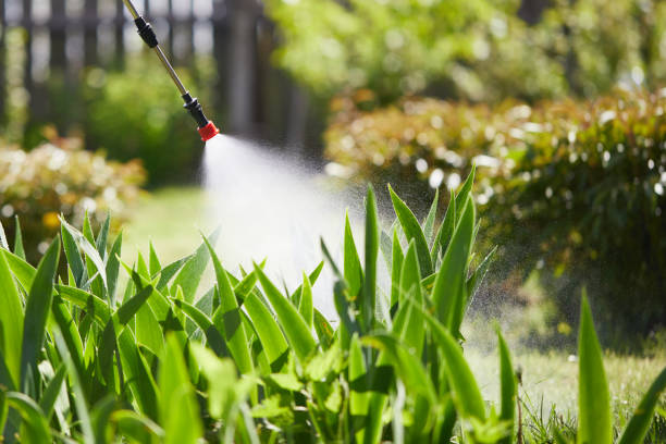24/7 Emergency Mosquito Control experts in Juno Ridge, FL