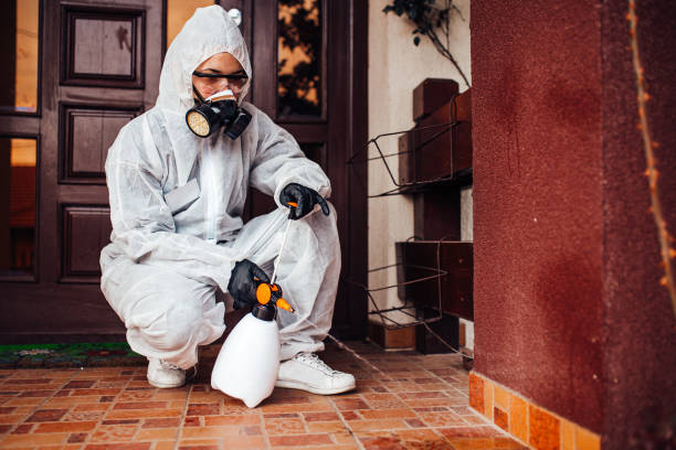 Reliable Mosquito Control contractor in Juno Ridge, FL by Show Me Pest Control